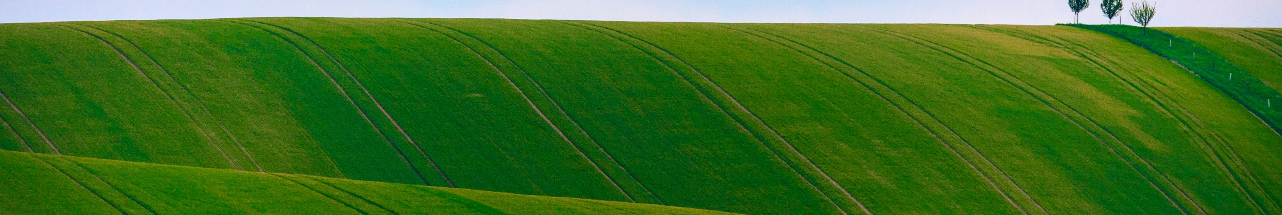 Terrifi: a Terraform provider for UniFi networks (built with Claude Code and hardware-in-the-loop testing)